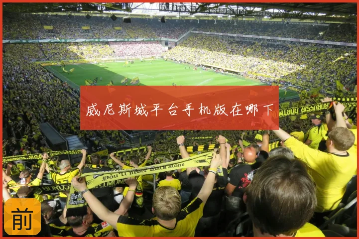 威尼斯城平台手机版在哪下