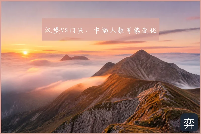 汉堡vs门兴,中场人数可能变化